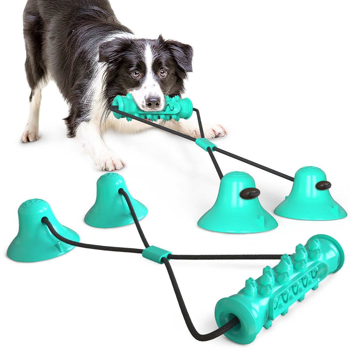 Double suction cup pull dog toy molar