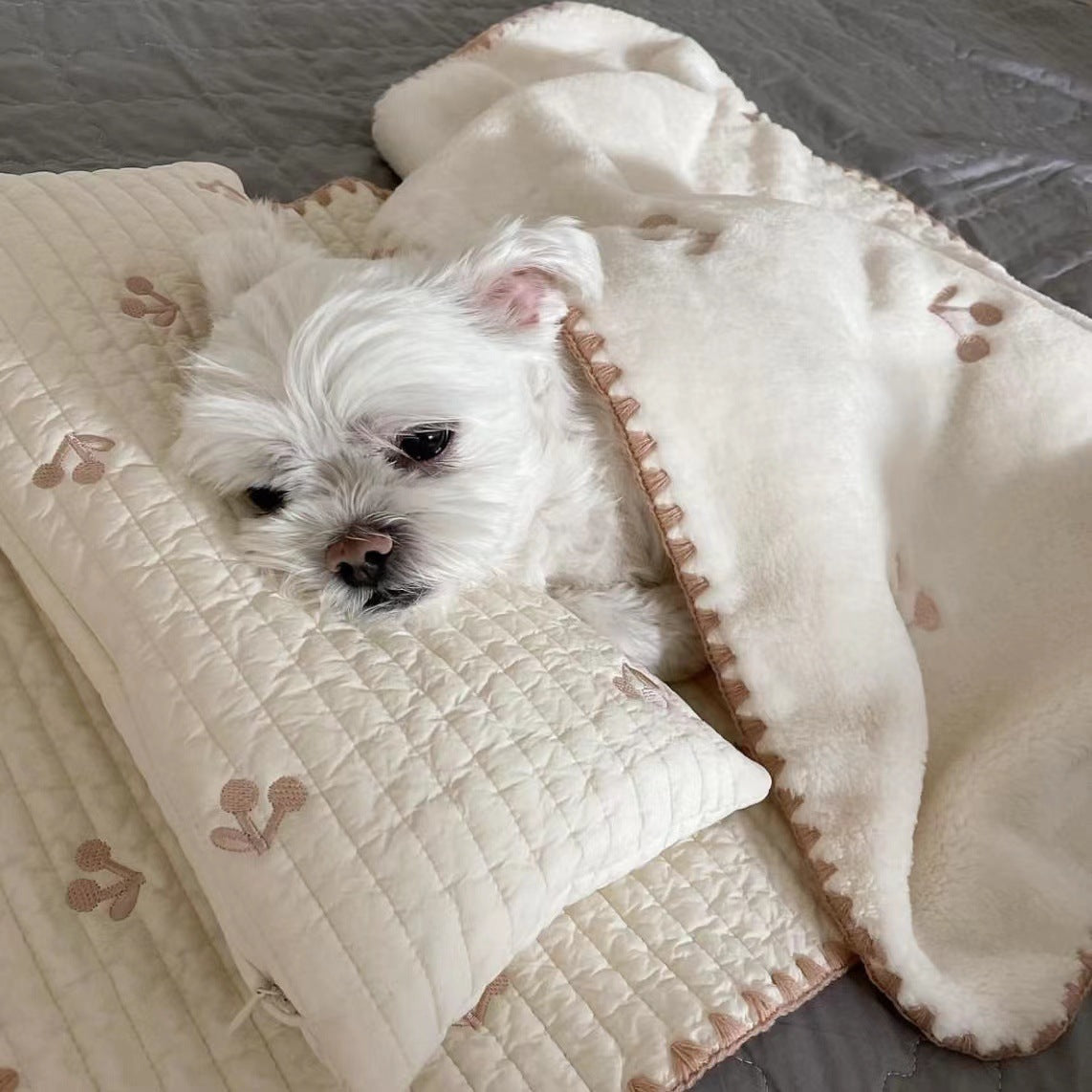 Fashionable Square Dog Bed with Removable Comforter