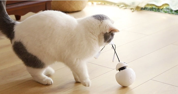 Furry Trio 3-in-1 Robot Tumbler Cat Toy