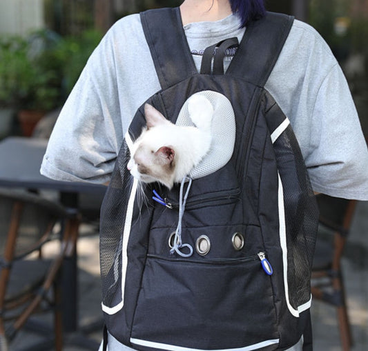 Cat bag pet outing backpack