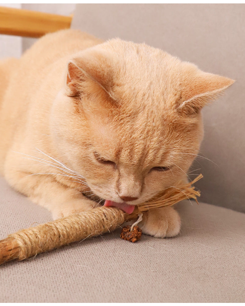 Wooden Polygonum Molar Stick Cat Toy Tooth Cleaning Kitten Bite-resistant Catnip Teasing Snacks