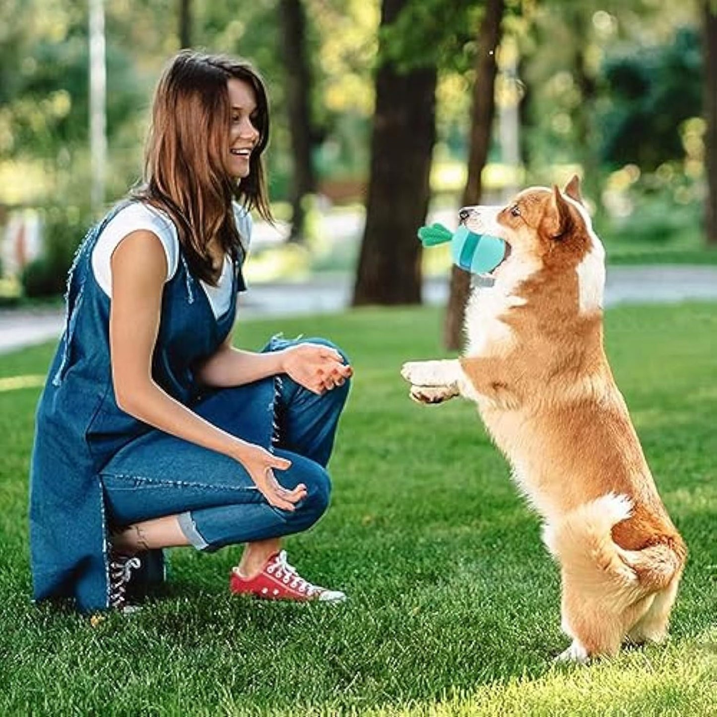 Interactive Treat Dispensing Dog Toys Different Functions Interactive Dog Puzzle Toys Balls For Medium Large Dogs  Dog Treat Toys Dog Puzzle Toys Durable Rubber Dog Chew Toys