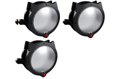 Intelligent control cat door