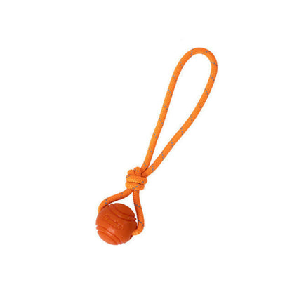 A dog in water with a red solid ball in its mouth.