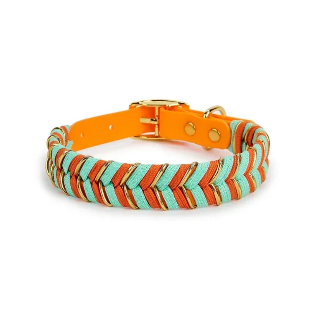 Pet Collar Metal Buckle Dog Collar Traction