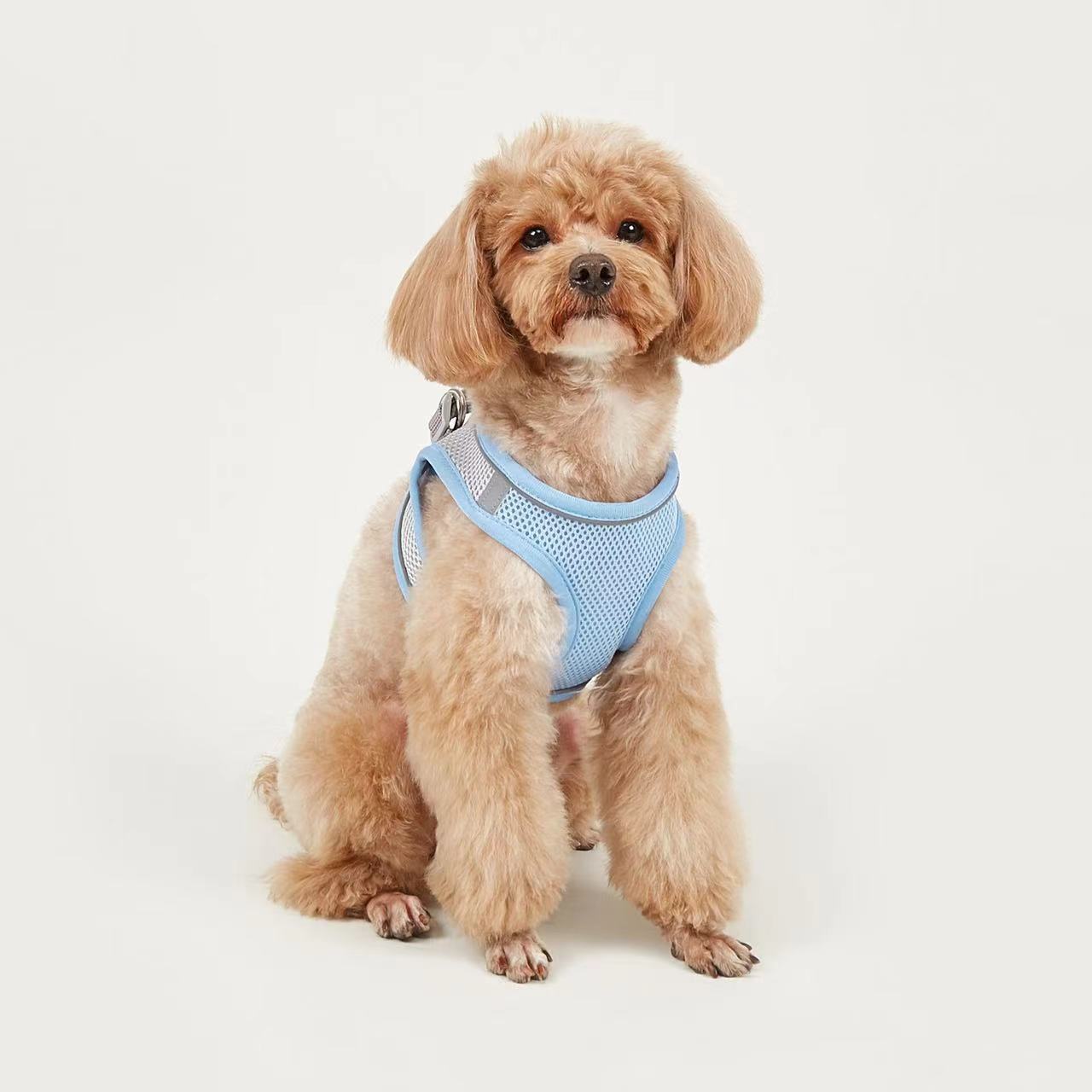 Dog Hand Holding Rope Vest Small Dog Dog Leash Teddy Bichon Breathable Chest Strap Pomeranian Puppy Small Dog Leash