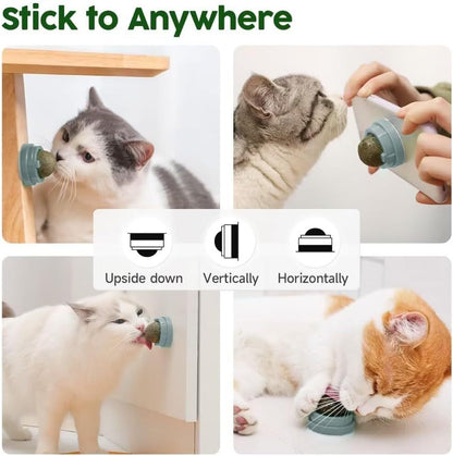 Potaroma Catnip Toys Balls 4 Pcs Extra Cat Energy Ball Edible Kitten Silvervine Toys For Cats Lick Healthy Kitty Teeth Cleaning Dental Chew Toys Cat Wall Treats