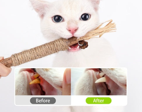 Wooden Polygonum Molar Stick Cat Toy Tooth Cleaning Kitten Bite-resistant Catnip Teasing Snacks