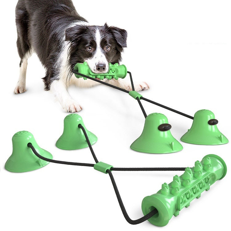 Suction Cup Molar Chewing Toy for Pets