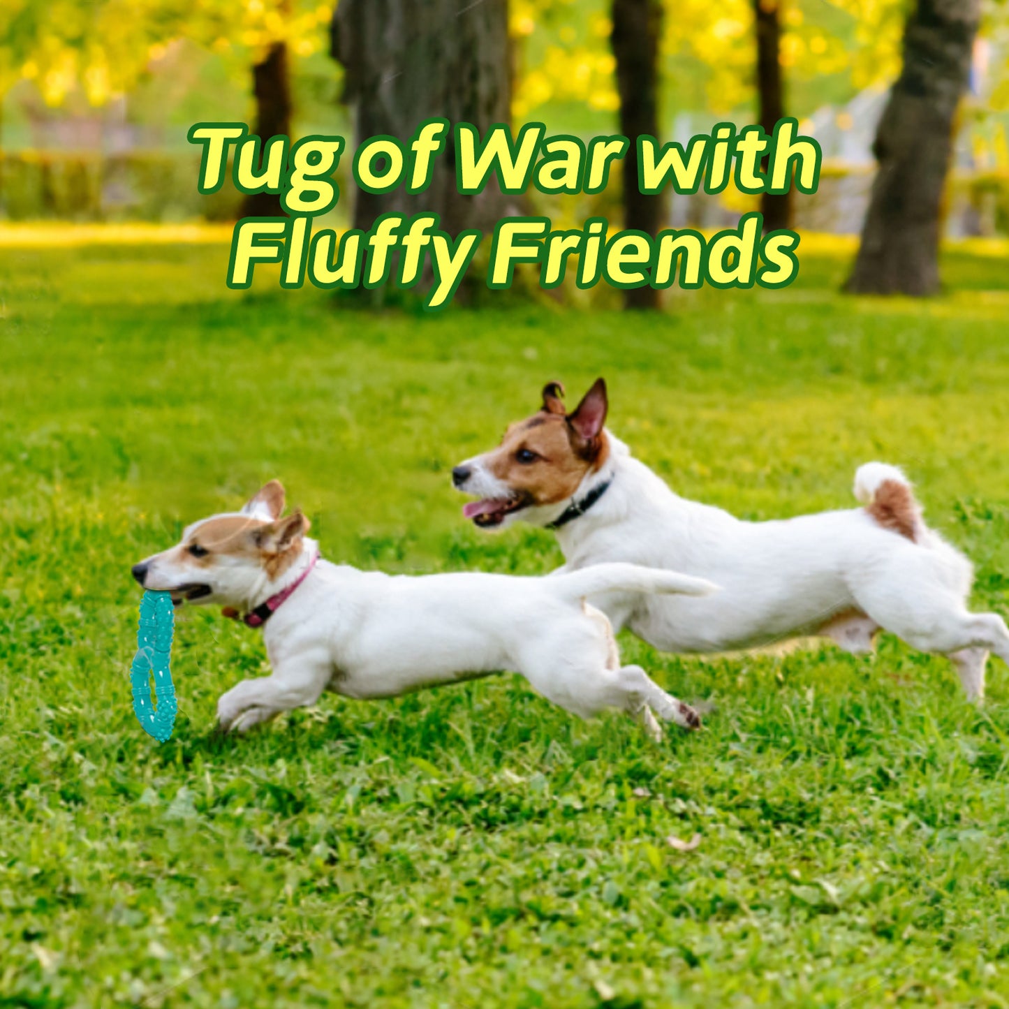 Pet Supplies Interactive Teeth Grinding Machine Pet Toys Pull Ring Dog Chewing Toys Pet Chewing Toys Toys Teeth Grinding Stick