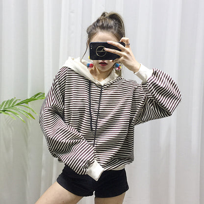 Dog Terry Sweater Teddy Small Dog Fashion Brand Clothes