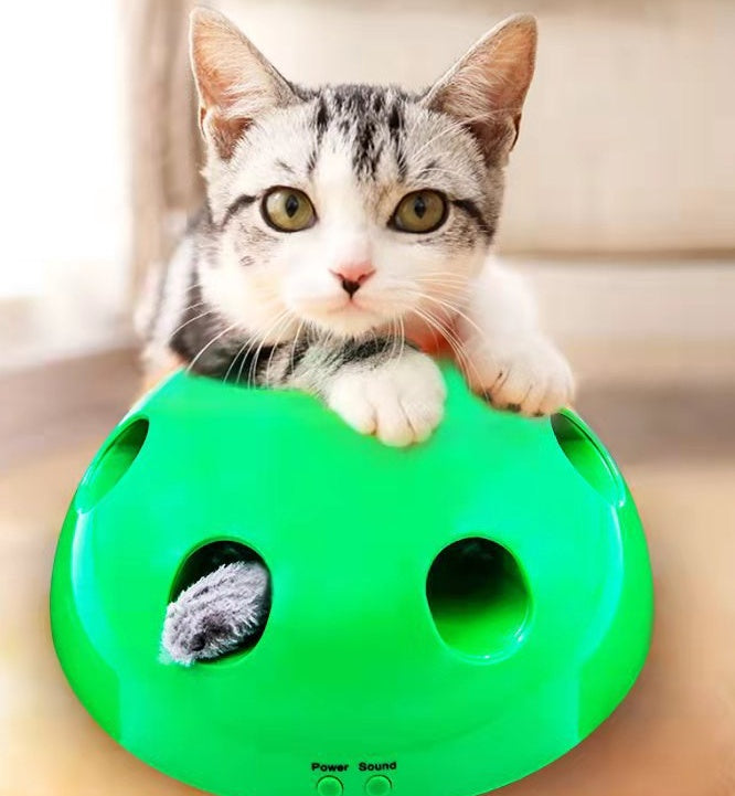 Cat Toy Funny Cat Interactive Toy At Scratching Device For Cat Sharpen Claw Play Cat Training Toy Pet Supplies