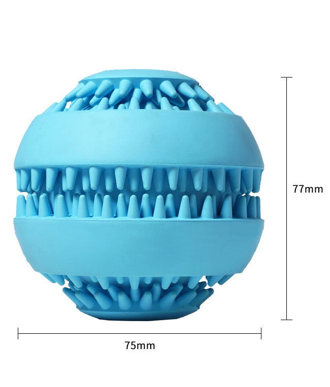 Pet molar ball