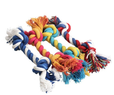 Pet dog bites rope toy