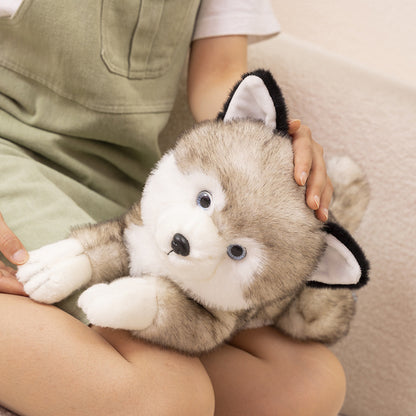Cute Shiba Inu Doll Husky Doll