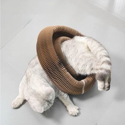 Cat Accordion Cat Toy Kitty Kurlz Cat Toy Ball Scratch Pad Magic Organ Cat Scratching Board Cat Scratcher