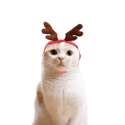 Cute Christmas and Halloween Dog Cloak