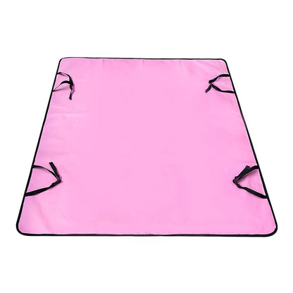 Car Pet Mat Rear Seat Water and Dirt Resistant Isolation Pad