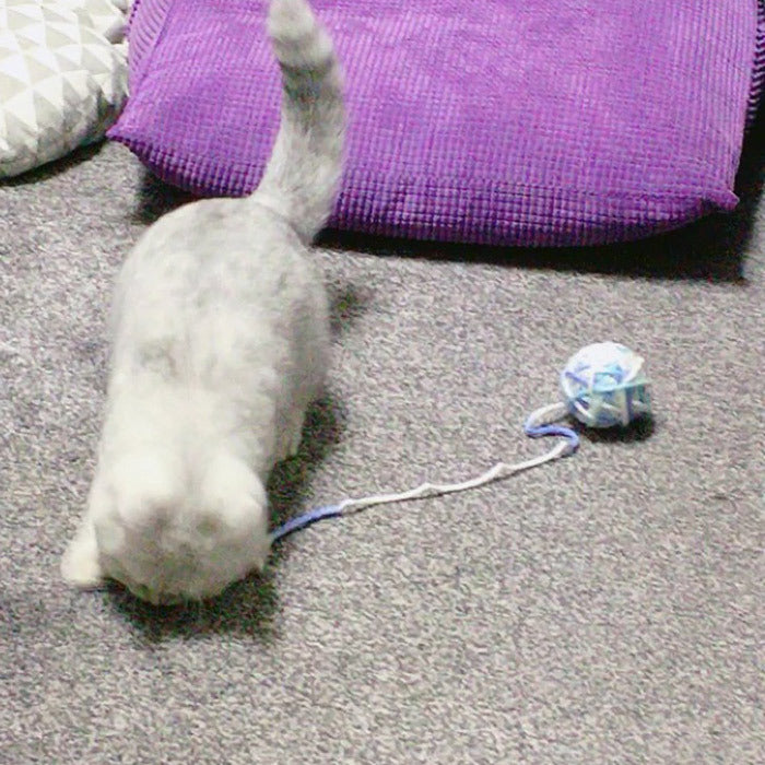 Yarn ball cat toy funny cat stick