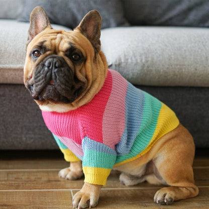 Rainbow Wool Dog Sweater – Colorful and Cozy Sweater for Your Furry Friend
