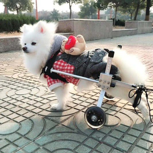 Dog Wheelchair - Fully Adjustable