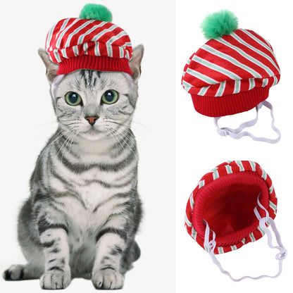 Curly Hair Pet Hat for Cats and Dogs