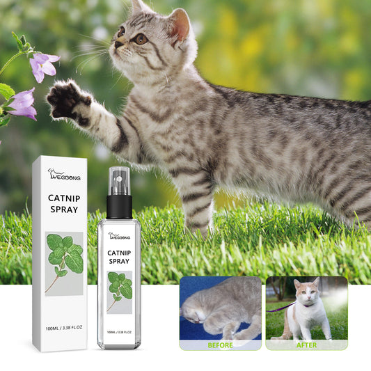 Catnip Spray - Relieves Cat Anxiety And Boosts Pet Vitality Health Care Spray