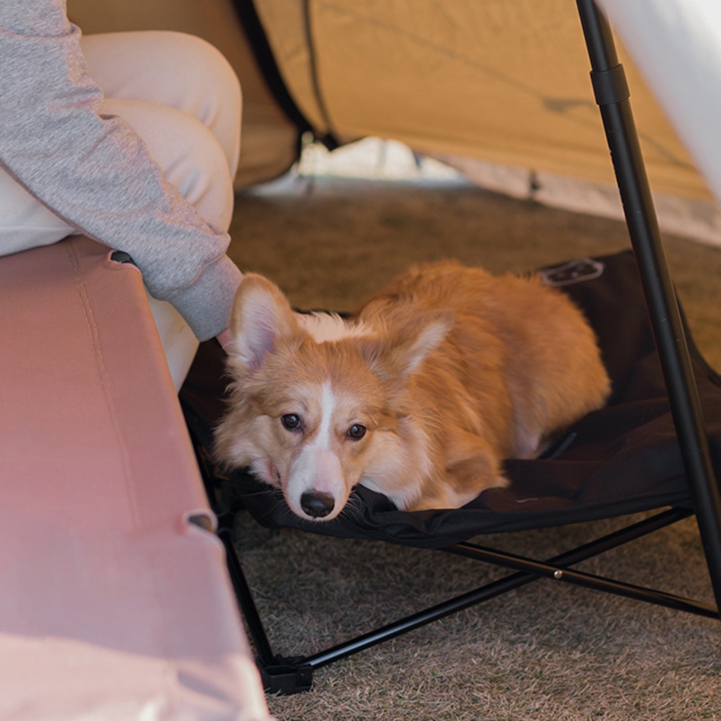 Outdoor Detachable Washable Folding Pet Bed