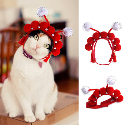 Curly Hair Pet Hat for Cats and Dogs