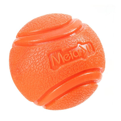 A dog in water with a red solid ball in its mouth.