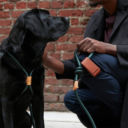 Portable Pet Garbage Bag Leather Dispenser For Going Out