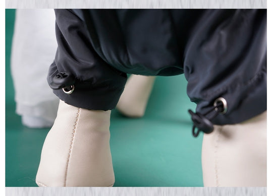 Reflective Windbreaker Dog Hoodie for Autumn and Winter