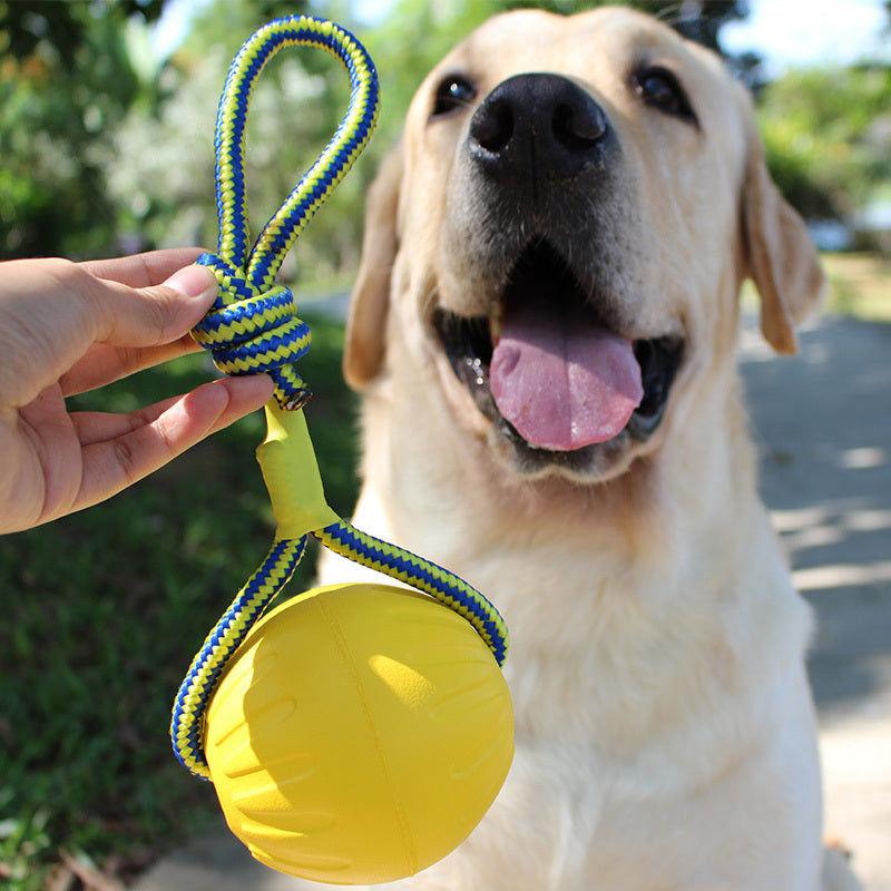 Pet toy bite resistant puppy molar interaction ring