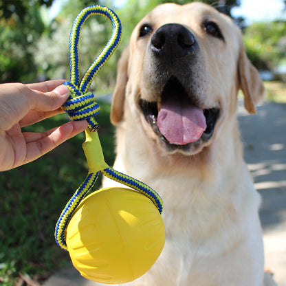 Pet toy bite resistant puppy molar interaction ring