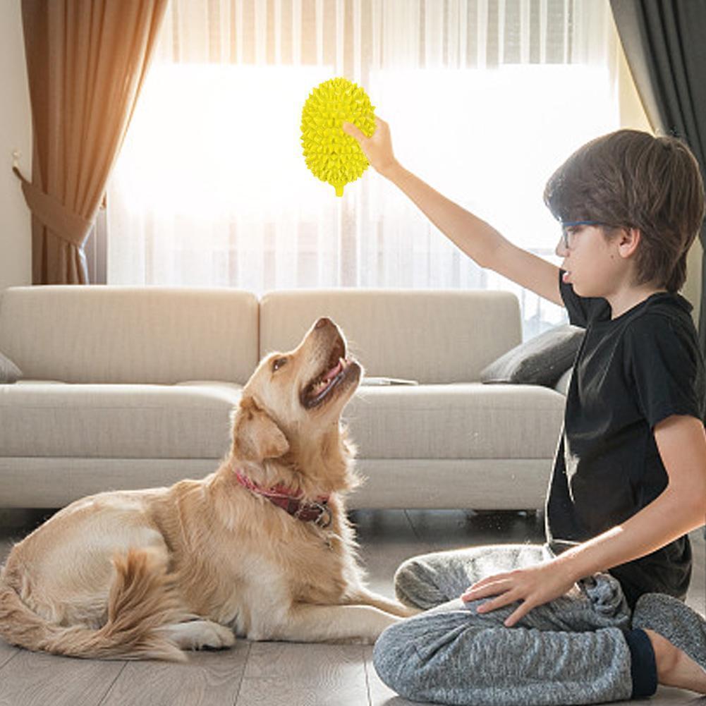 Durian Chew Ball for Dogs and Puppies