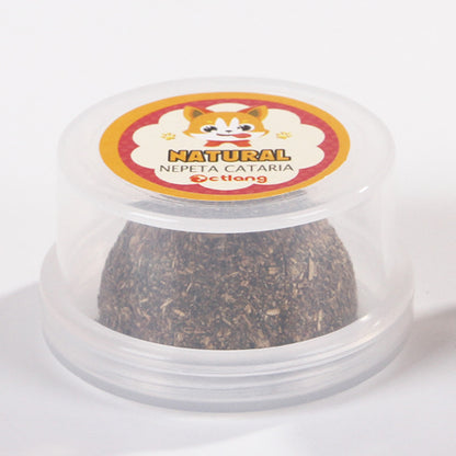 The Cat Vigorously Licks The Pet Cat Grass Ball