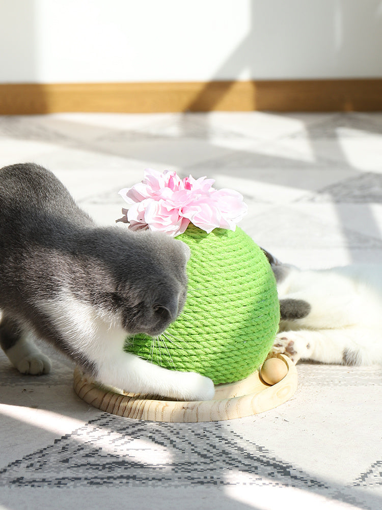 Cat grinding paw toy