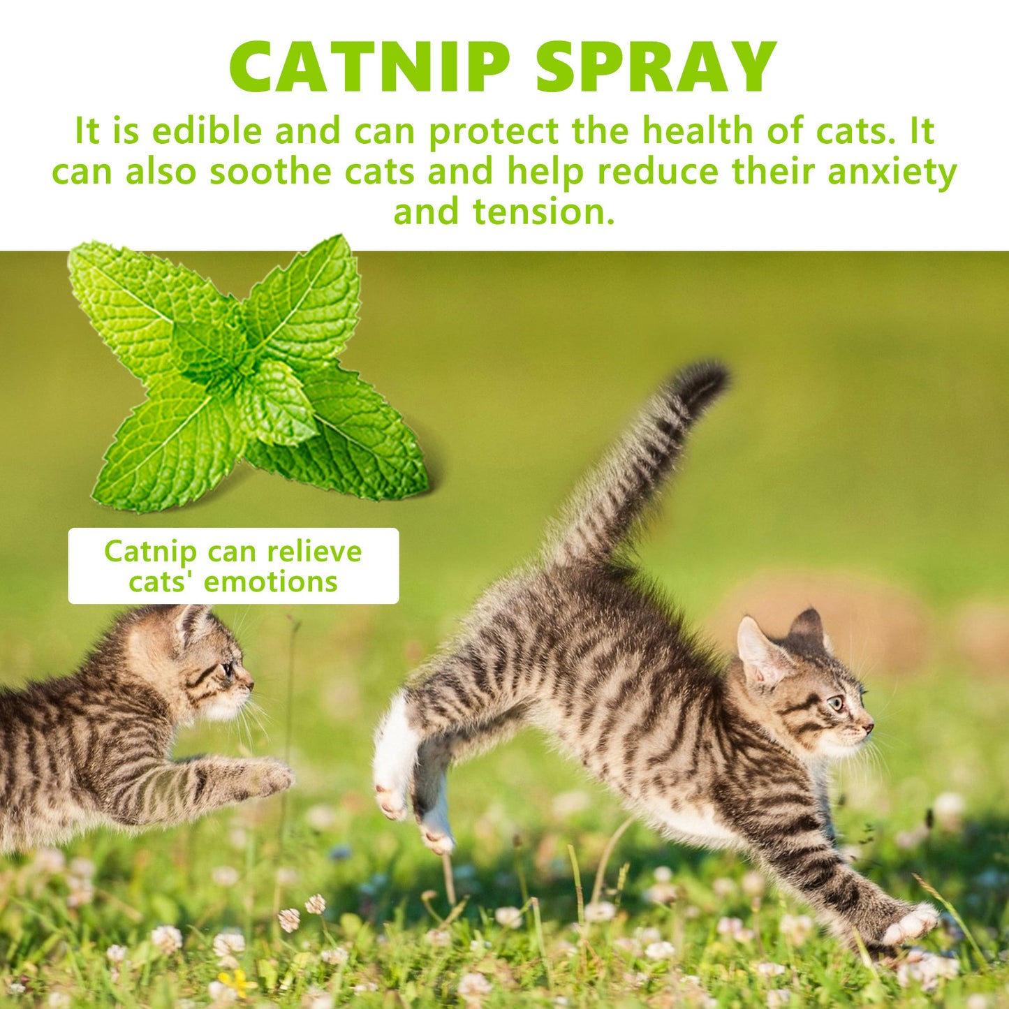 Catnip Spray, Relieves Cat Anxiety And Enhances Pet Vitality Health Care Spray