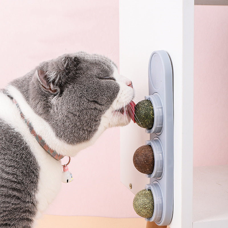 Cat's Molars, Cleaning Teeth, Biting And Digesting Mint Balls