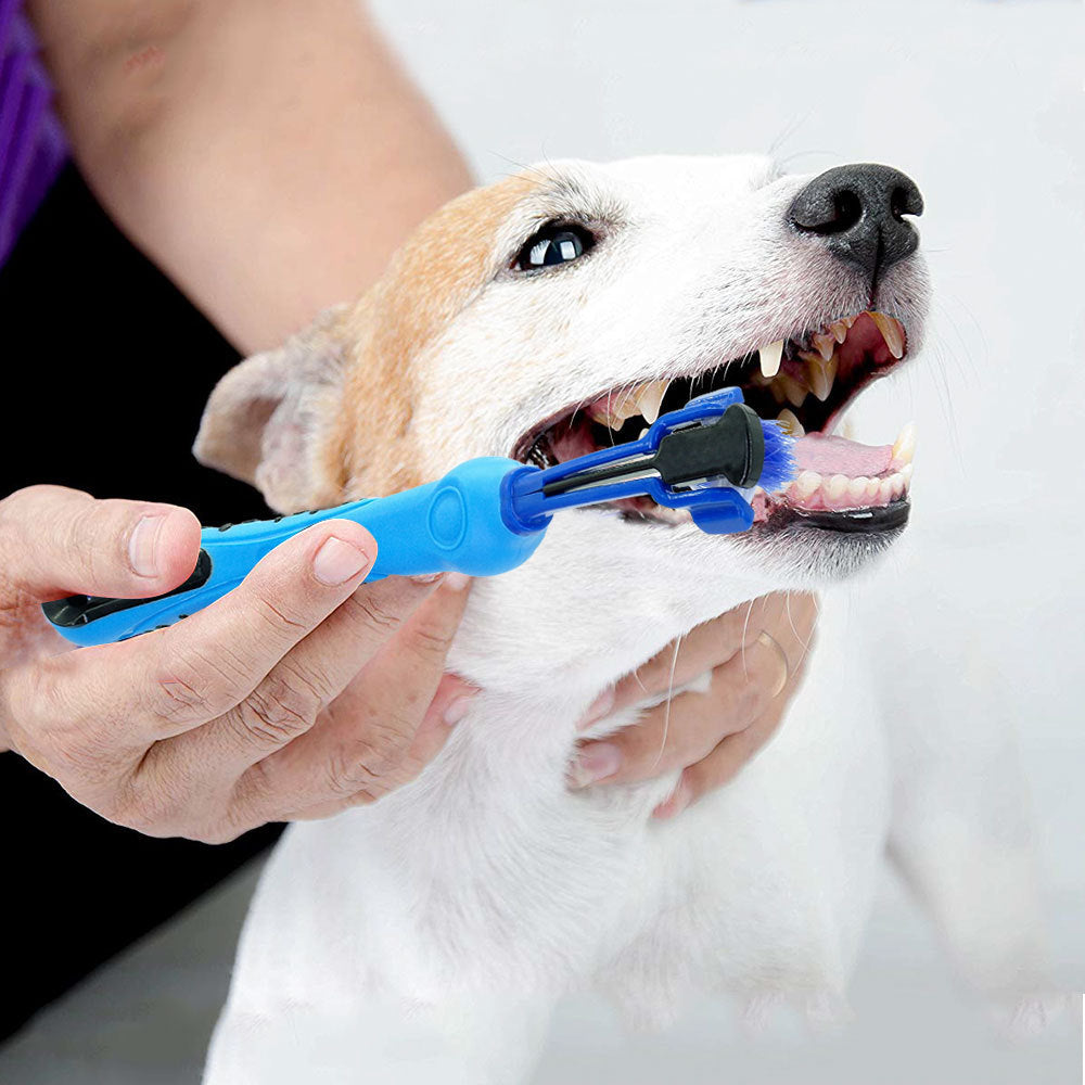 Plush Pet Toothbrush Chew Toy