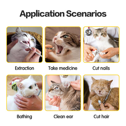 Cat Travel Bag Anti-Scratch and Bite Pet Bag