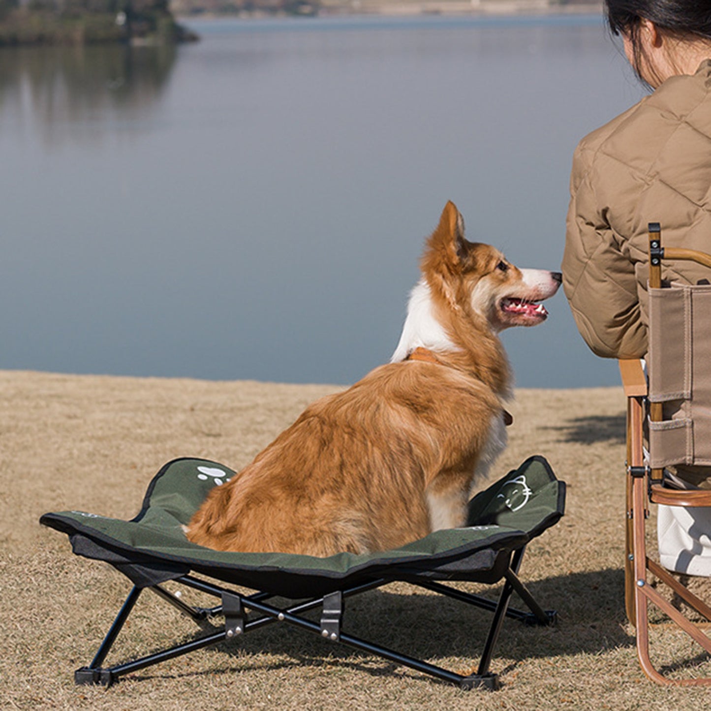 Outdoor Detachable Washable Folding Pet Bed