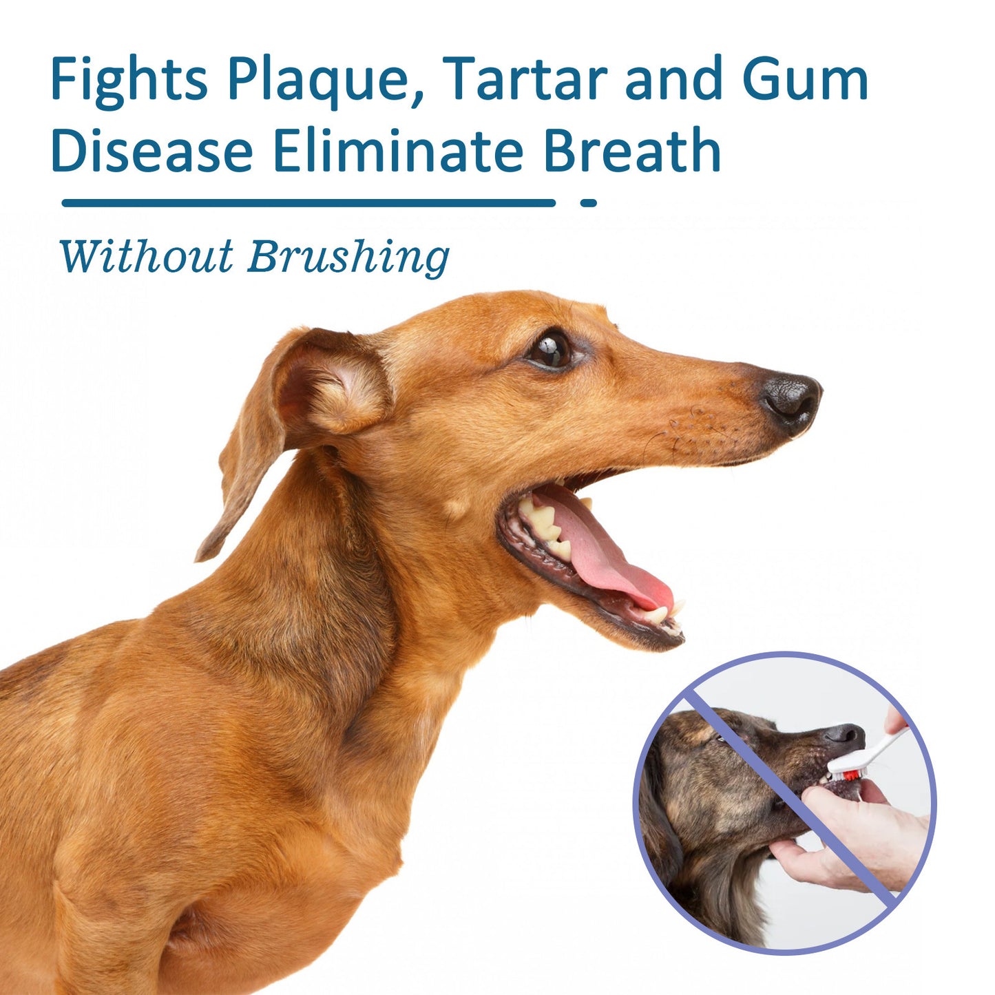 Pet Breath Freshening and Tartar Removal Spray