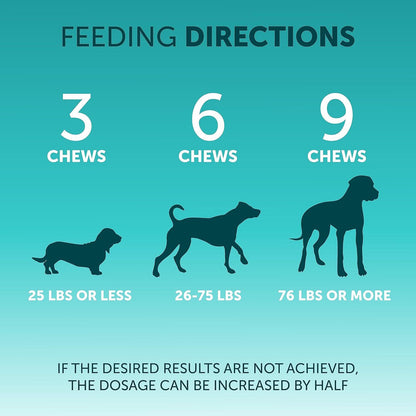 Pet Probiotic Chewable Tablets for Healthy Digestion
