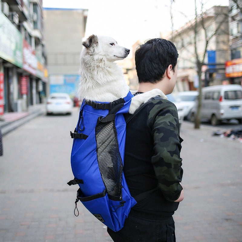 Pet Backpack Exposed, Ventilated, Breathable And Washable