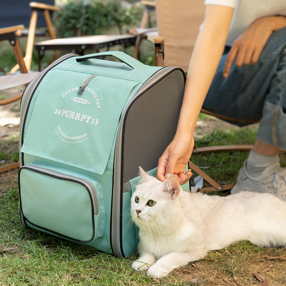 Portable Breathable Pet Training Bag Multifunctional Outing Space Cat