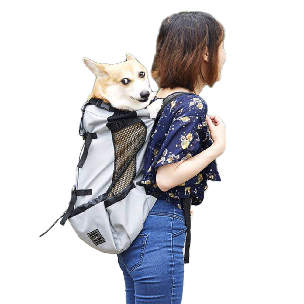 Dog backpack pet backpack go out and carry