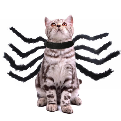 Halloween Spider Costume for Dogs and Cats
