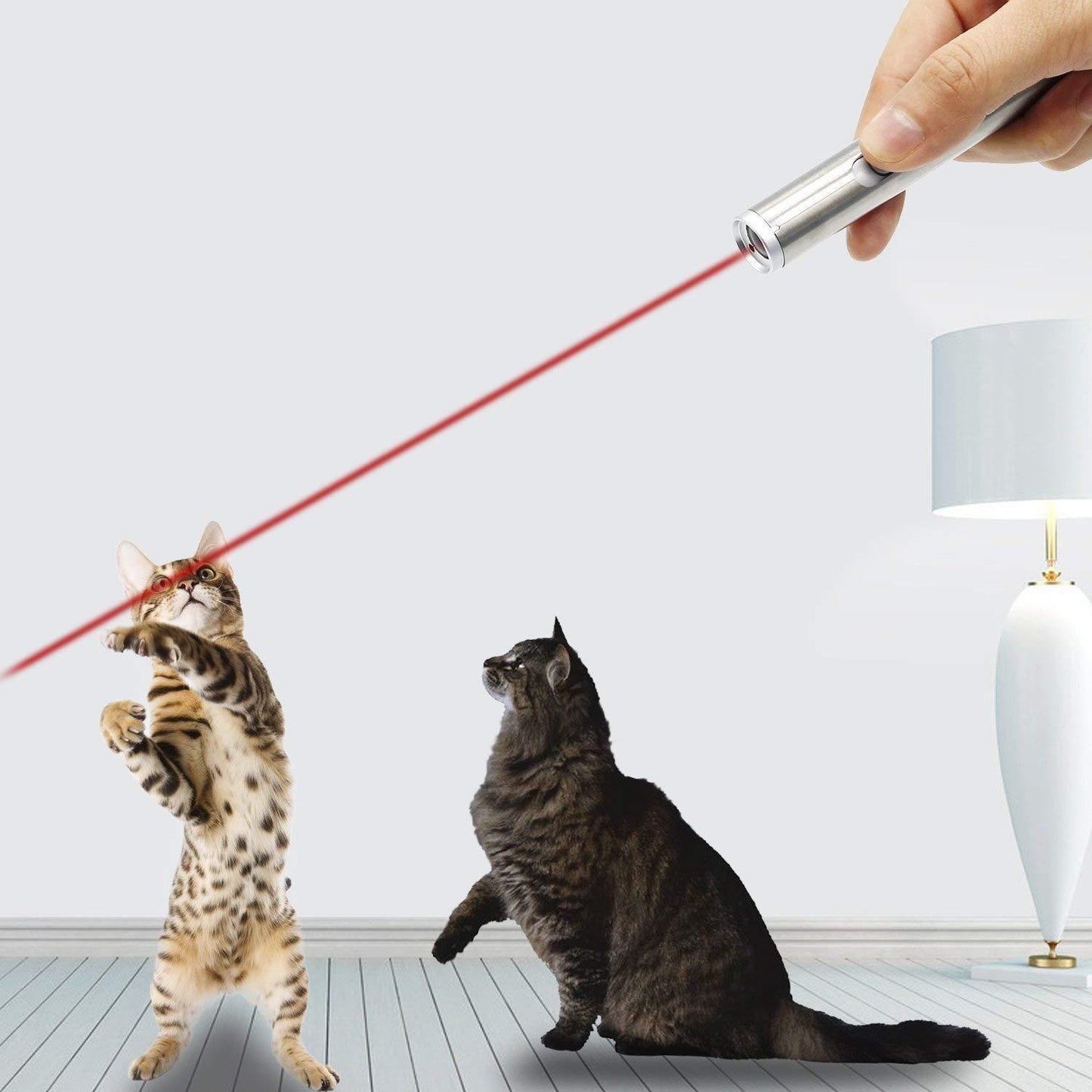 Laser funny cat stick