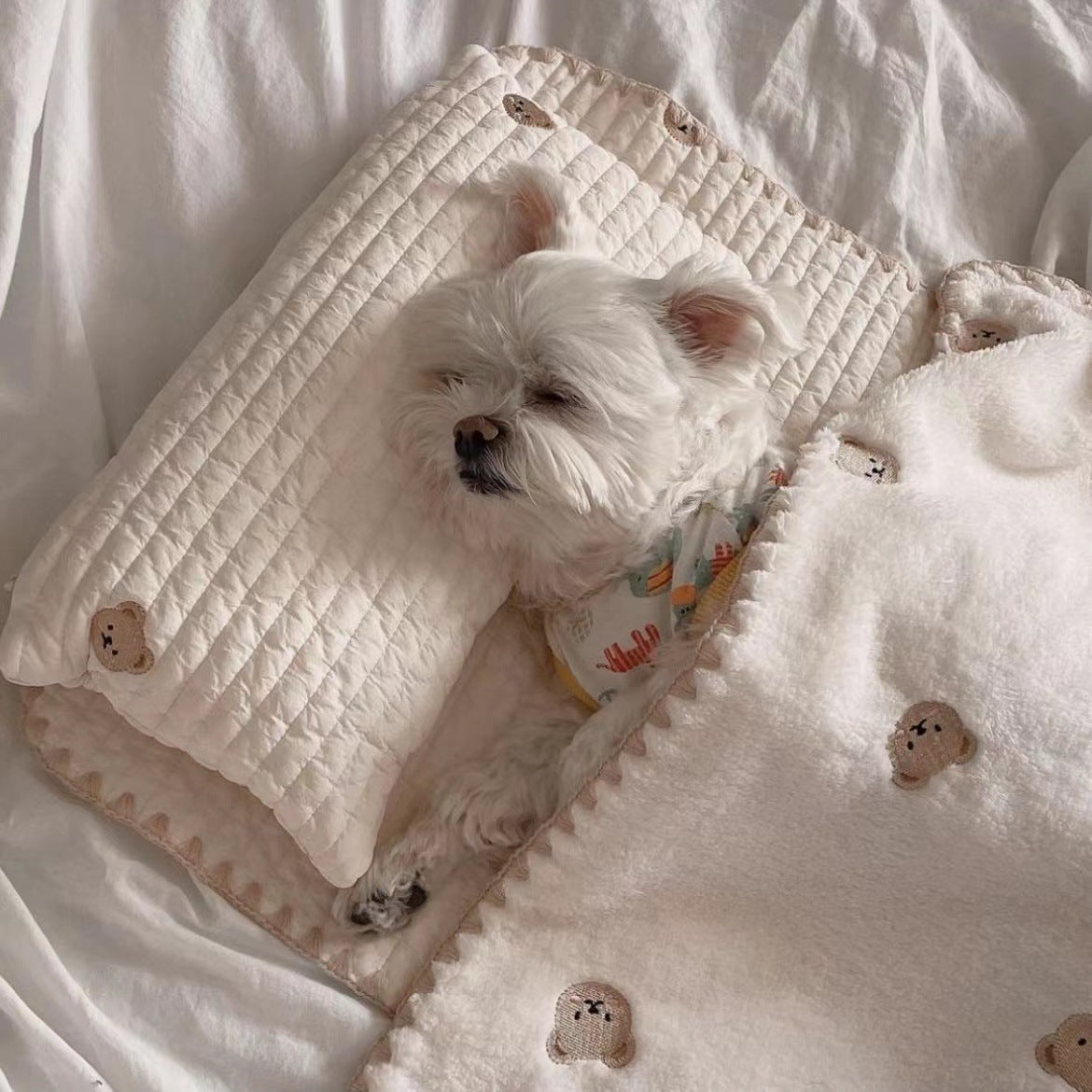 Fashionable Square Dog Bed with Removable Comforter